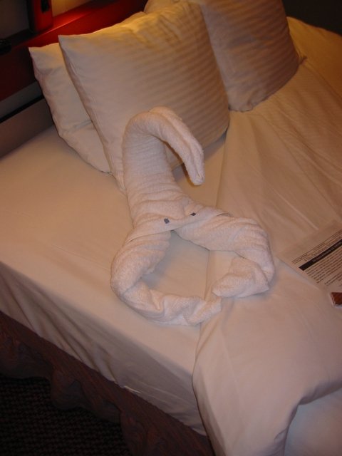 scorpian towel